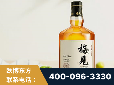 敦煌-梅见青梅酒